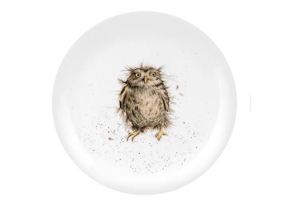 Royal Worcester Wrendale 8 inch Coupe Plate What a Hoot - Millys Store