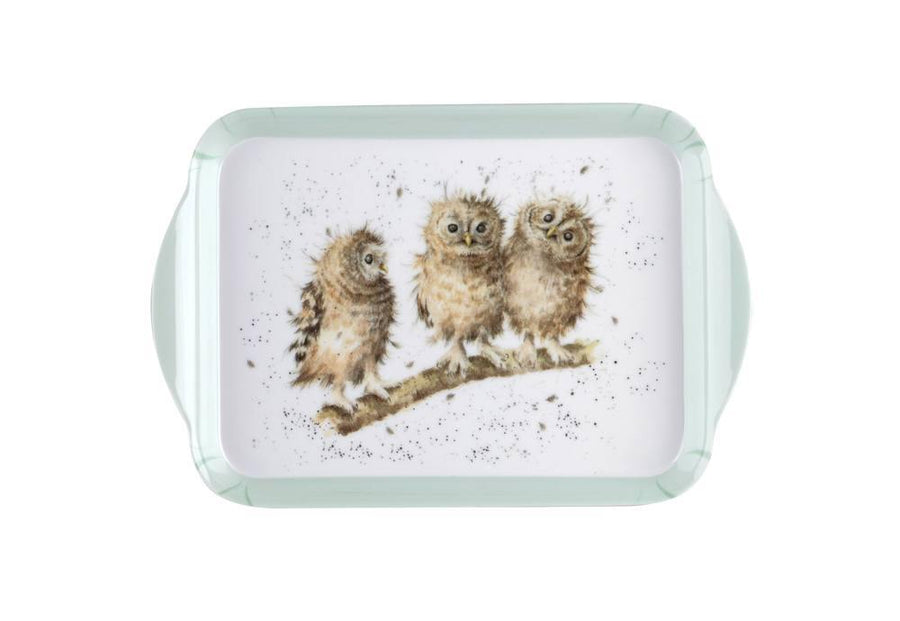 Royal Worcester Wrendale Owl Scatter Tray - Millys Store