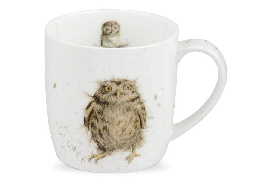 Royal Worcester Wrendale What a Hoot Mug - Millys Store